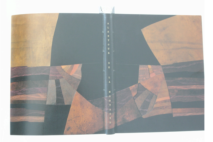 couverture de l'homme livre