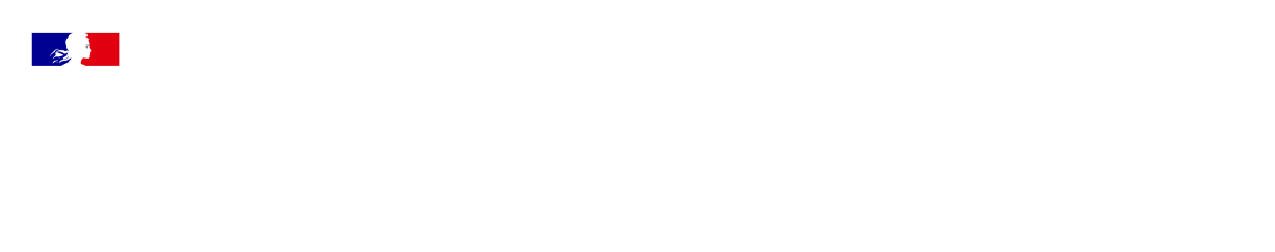 logo ILLE dans le footer